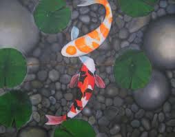 koi fish, goldfish, pond